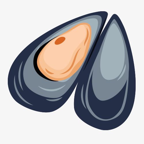 Resultado de imagen de Dibujos de mejillones